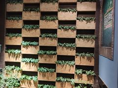 -御湾·浅水湾·贺胜土鸡汤(潜山店)