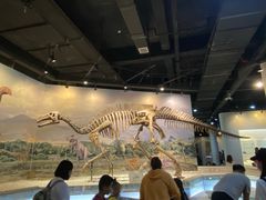 -辽宁古生物博物馆