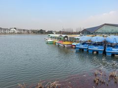 -上海长兴岛郊野公园