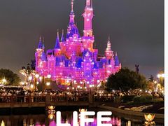 -上海迪士尼度假区