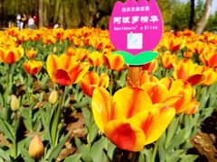 -长春公园(普阳街道)