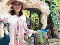 -西双版纳原始森林公园