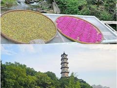 -雁荡山风景名胜区