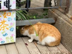 -赵小姐的店(鼓浪屿三友店)