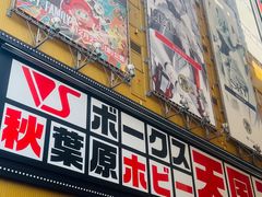 -秋叶原电器街