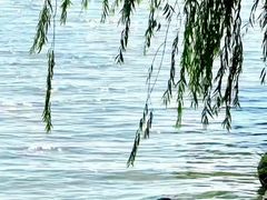 -东湖生态旅游风景区