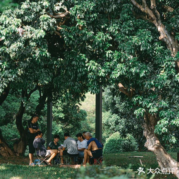 扫街日记📸•深圳蛇口人的青春| 四海公园💚