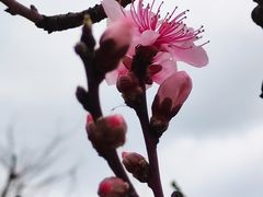 -观山湖公园