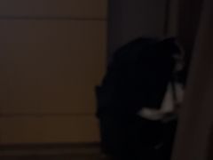 -金色印象·4k影院式足体养生(龙腾路店)