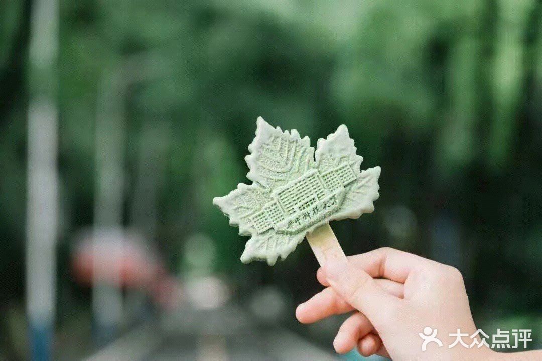 华科大独家限定网红款🍁🍦