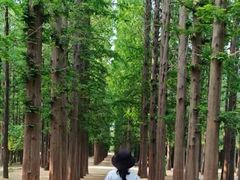 -日照海滨国家森林公园