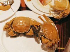 -广州万富希尔顿酒店·感趣自助餐厅·金秋蟹宴生蚝海鲜刺身
