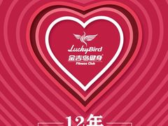 -金吉鸟健身游泳