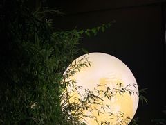 -王捌小院(红花坡店)