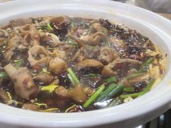 -川大刘肥肠鸡(北国店)