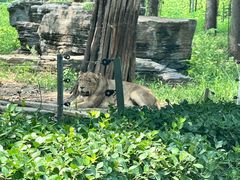 -秦皇岛野生动物园