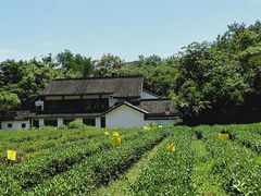 -杭州西湖风景名胜区-三生石