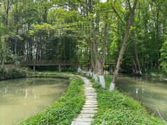 -桤木河湿地公园