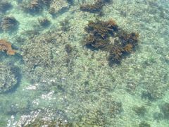 -三亚西岛海洋文化旅游区