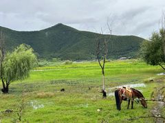 -泸沽湖国家级风景名胜区走婚桥
