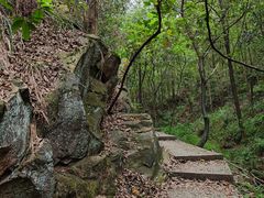 -南山植物园