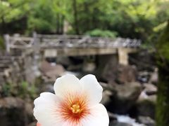 -白云源风景区