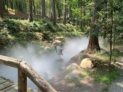 -东明山森林公园