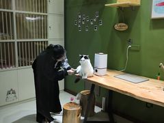 -猫亿天猫咖