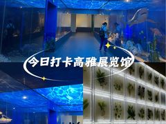 -广东中医药博物馆