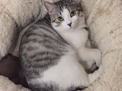 -幸福蓝海国际影城(苏州凤凰店)