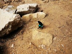 -广州白江湖森林公园