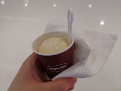 -哈根达斯(朝阳大悦城店)