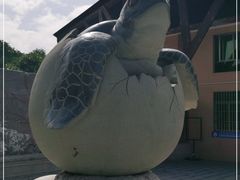 -广东惠东海龟国家级自然保护区