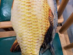 -望湘园·洞庭渔宴(永旺店)