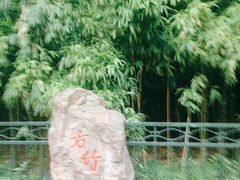 -杭州黄龙洞