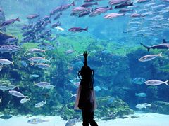 -西海国立公园九十九岛水族馆