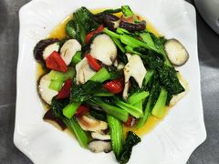 -何猫特色黄焖羊肉