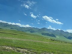 -新疆那拉提国家旅游度假区