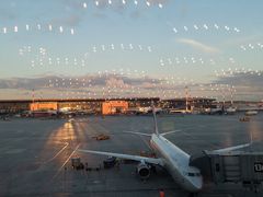 -谢列梅捷沃国际机场