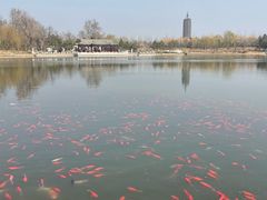-西海子公园