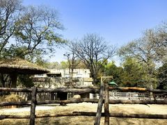 -北京动物园