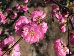 -森林公园(尖草坪区)