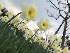 -保利石象湖景区