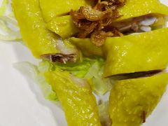 -百福麵家(新馬路店)