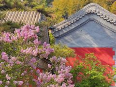 -潭柘寺景区