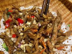 -大榕树下顺德菜(融创茂店)