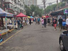 -哈尔滨道外花鸟鱼市场