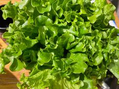 -金山烤肉(中兴公园店)