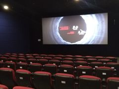 -大地影院(上海南汇店)