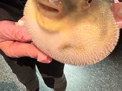 -永安鱼庄·镇江菜(东吴路店)